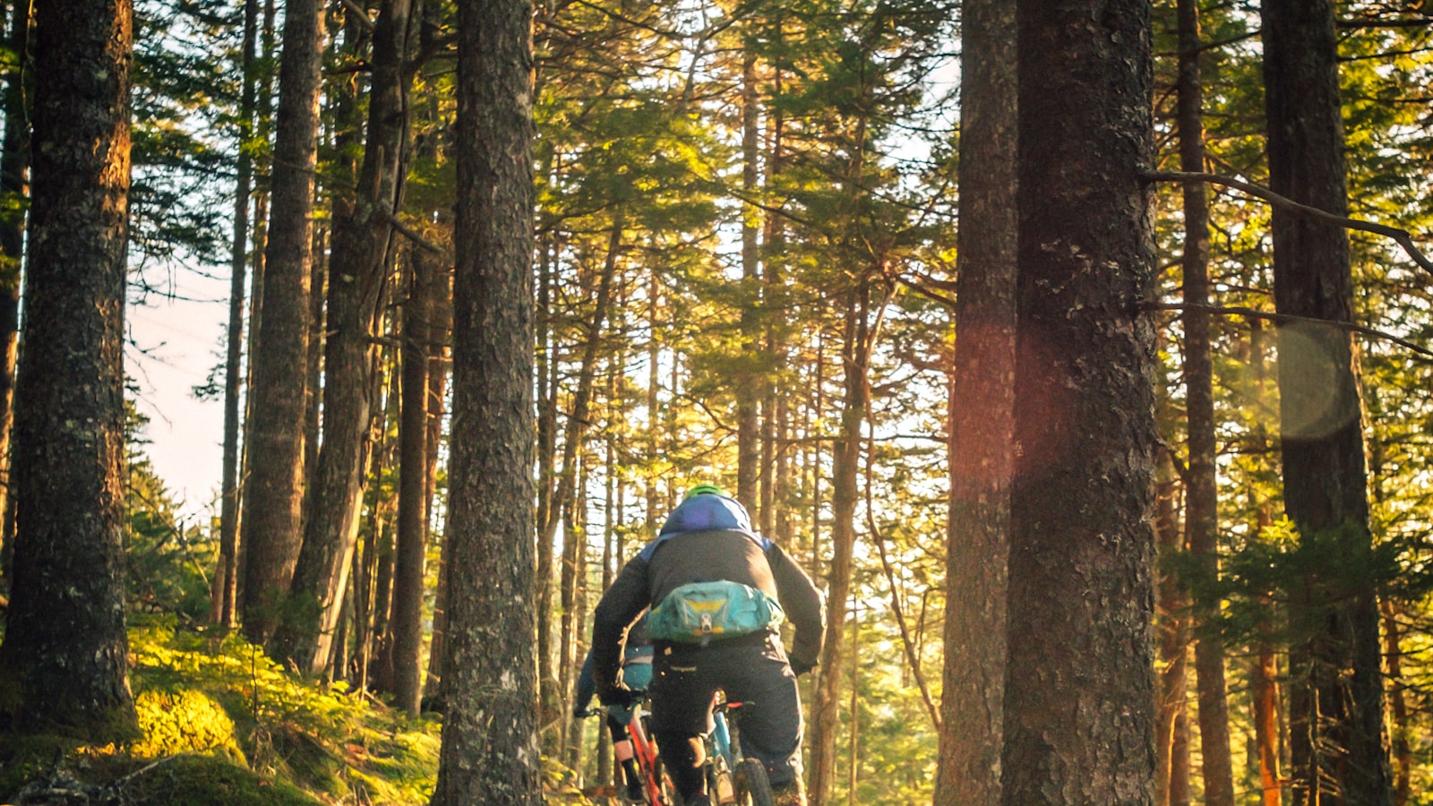 Measuring bicycle chain wear
